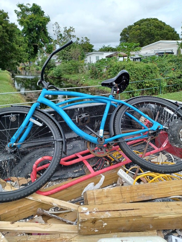 26 Inch Beach Cruiser