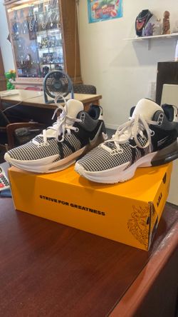 Lebron Witness VII basketball 🏀 shoes