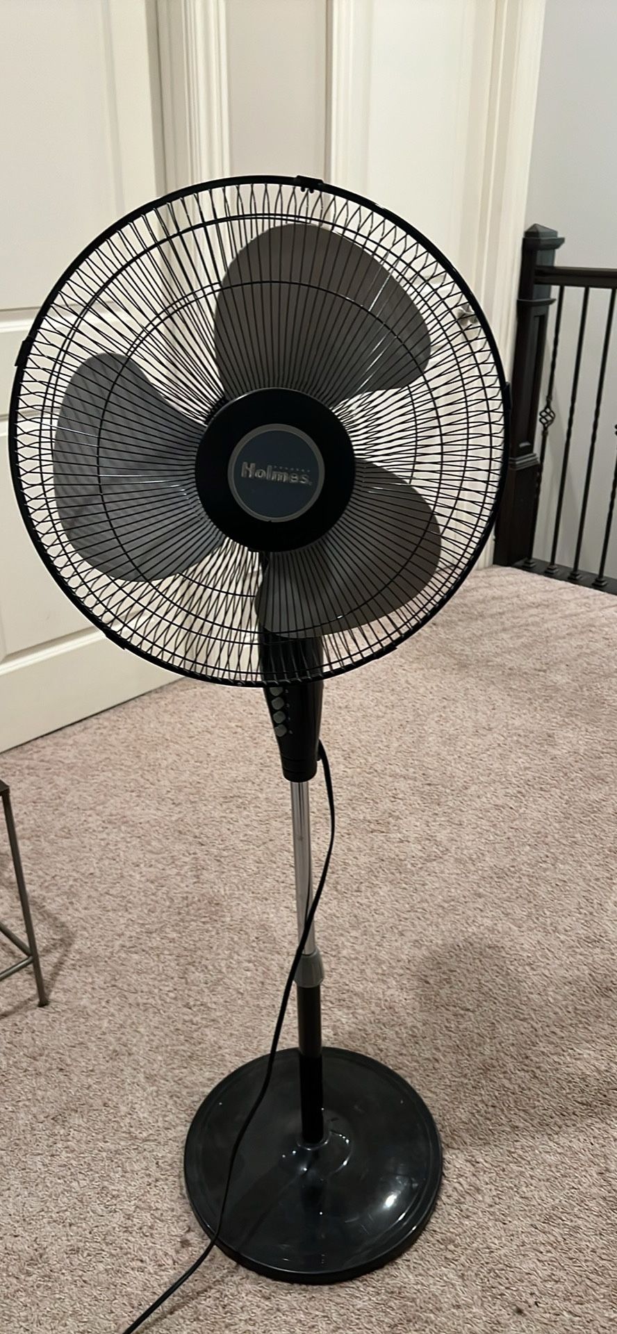 Holmes fan