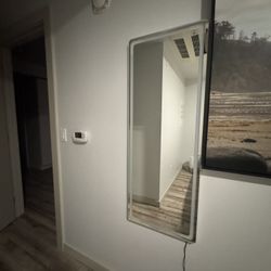 63" x 18" RGB LED Mirror, Full Length Floor Mirror with Lights, Free Standing & Wall Mount Mirror