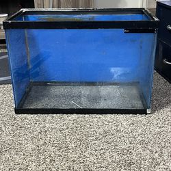 20 Gallon Fish Tank Setup