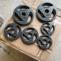 80 LBS OLYMPIC WEIGHT PLATES  ( 2  25 LB, 2  10  LB, & 2  5  LB ) BRAND NEW $100 FIRM