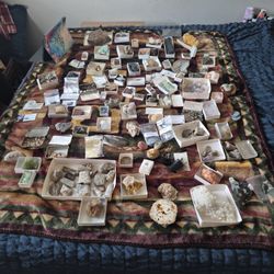 Crystals Fossils Meteors Dinosaur Bones Prestoric Shark And Dinosaur Teeth Prestoric  Carvings And Writings On Rocks And Dinosaur Bones Prestoric  Sea