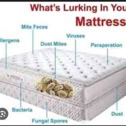 New QUEEN Pillow Top 