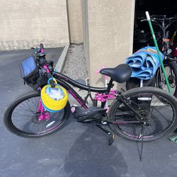 26” Mountain Bike And Child Pod