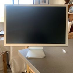 20” Apple Monitor 