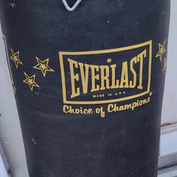 Everlast 80lb Punching Bag 