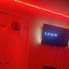 watchyo head