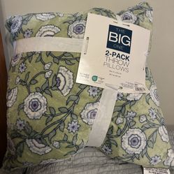 Throw Pillows- 2 Piece Set
