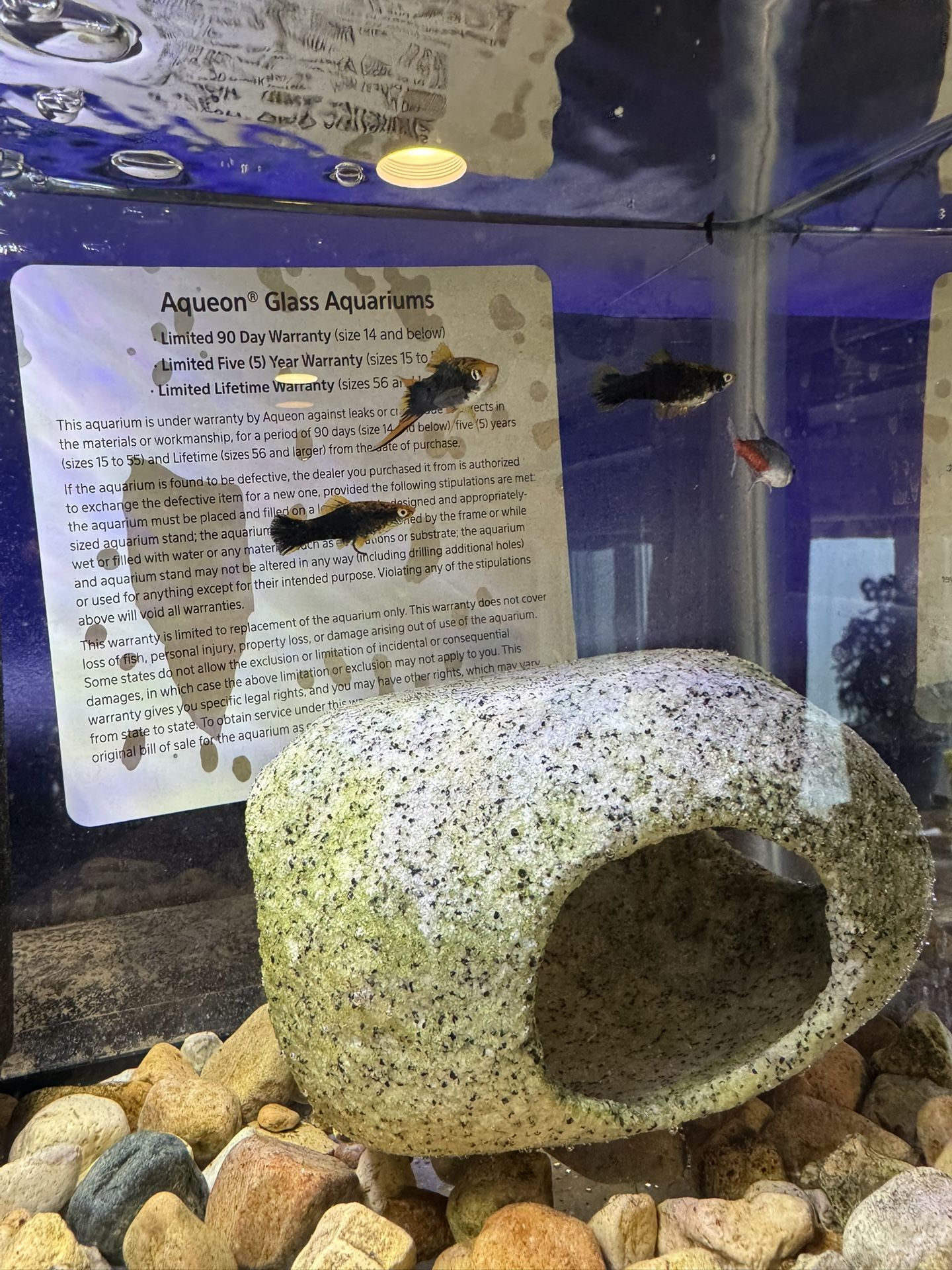 Aquarium Rock