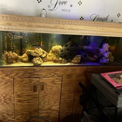 Couch and fish tank comes with pump and everything