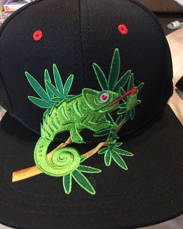 S/M chameleon extract Hat New Black