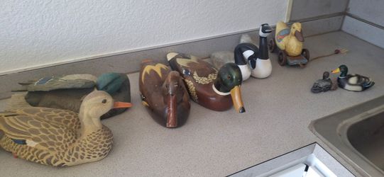 Ducks