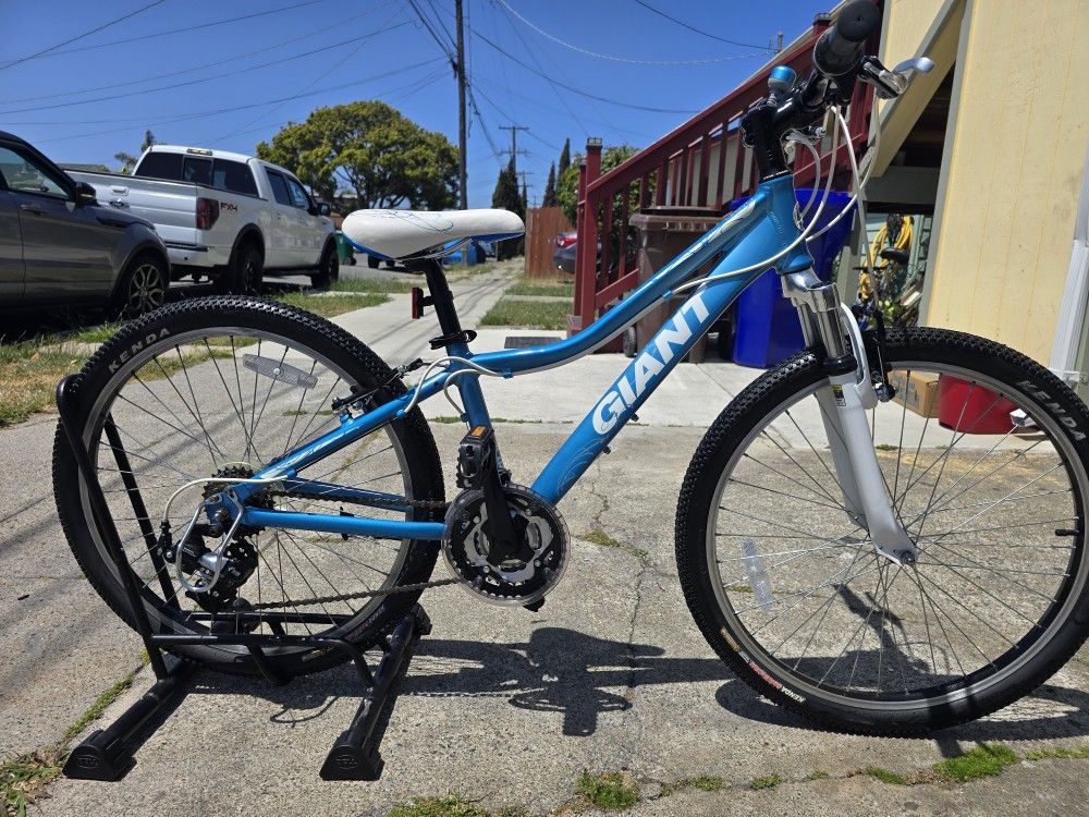 Giant Mountain Bike 24
Like New
Ready to Ride 