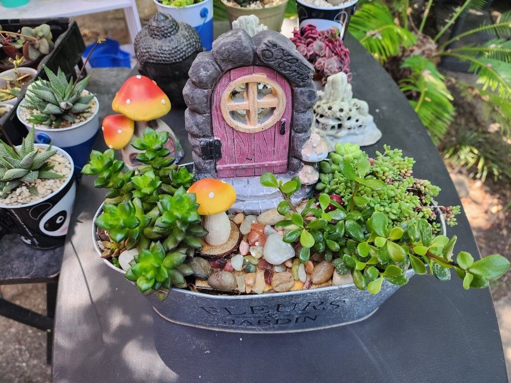 GNOME HOUSE SALE THIS SATURDAY AND SUNDAY IN SAN LORENZO. SUCCULENTS