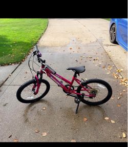 Nishiki Mountain Bike , kids bicycle