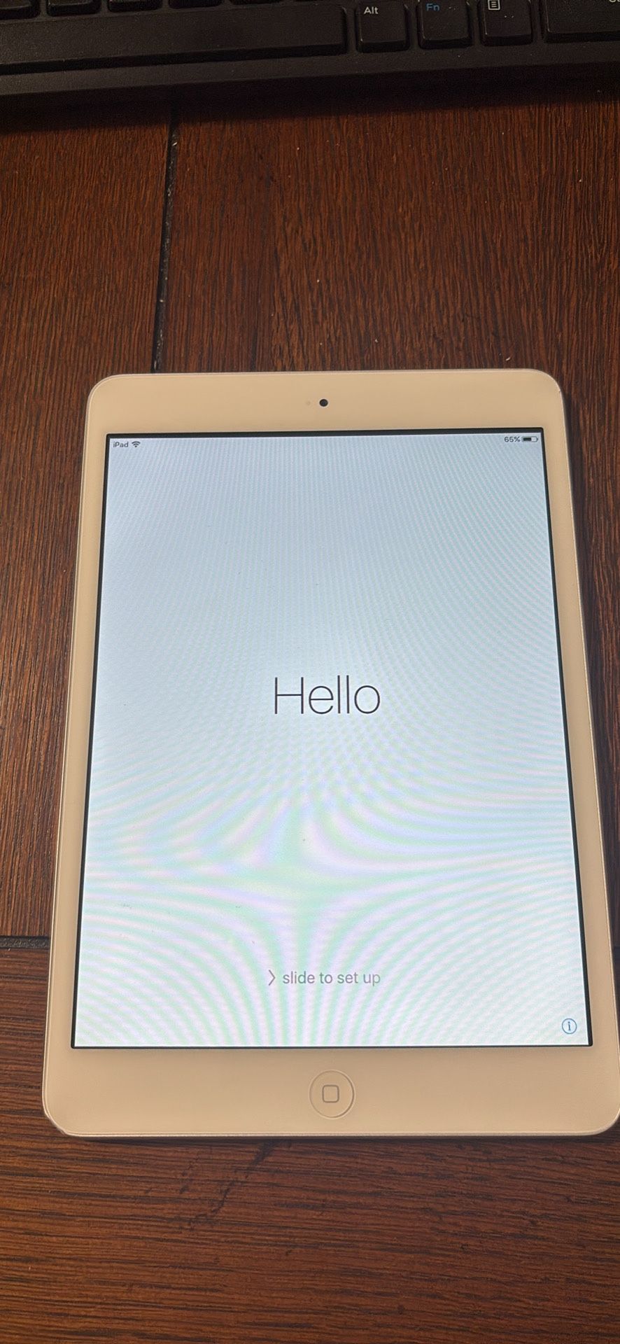 iPad Mini