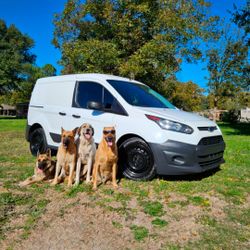 2016 Ford Transit Connect