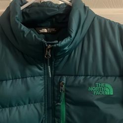 TNF The north Face puff Jacket 550
