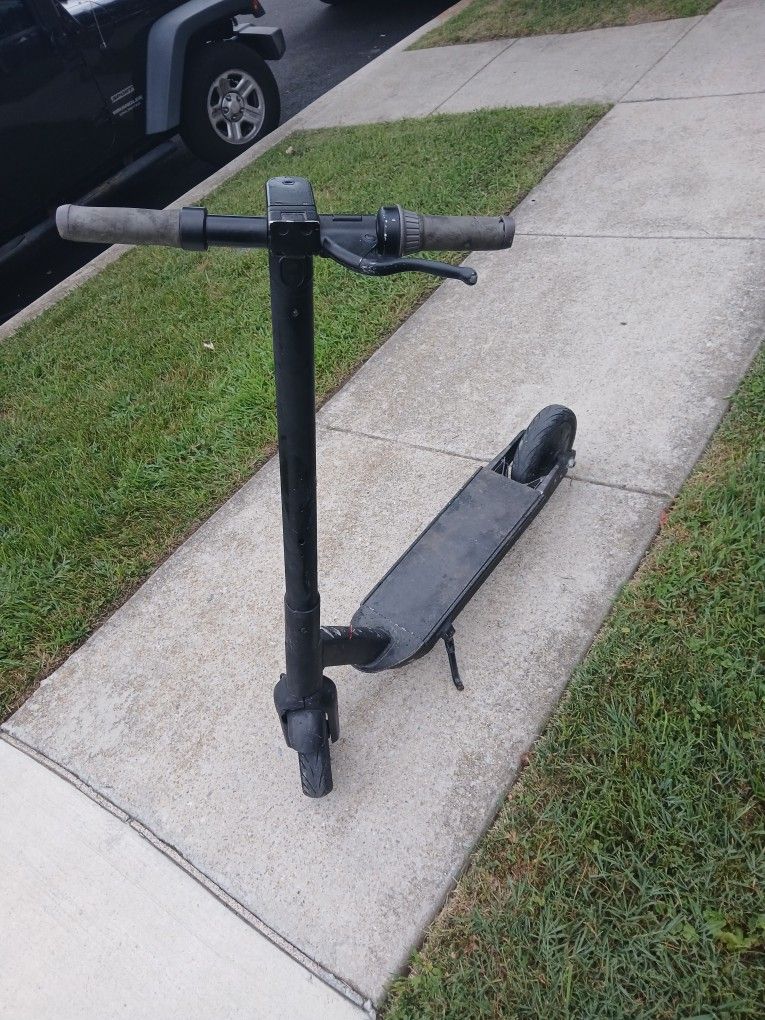 Electric Scooter 