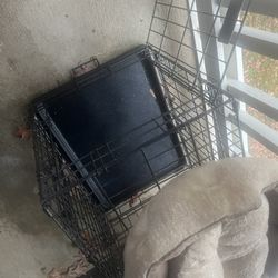 Dog Cage 