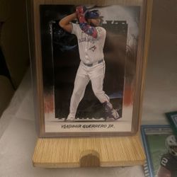 Vladdy Jr Card 