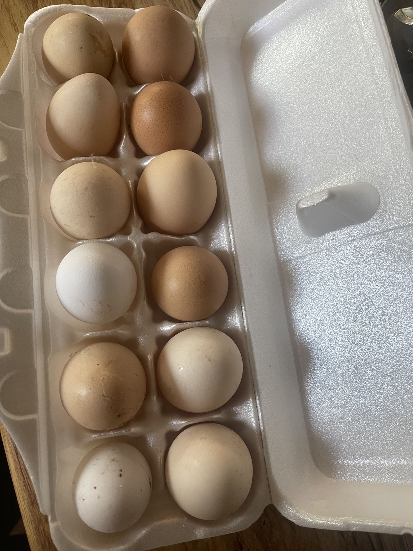 Fresh Eggs