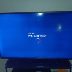 55 In Vizio Television 