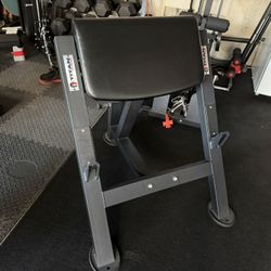 Titan Fitness Preacher Curl Bench 