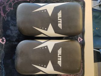 Muay Thai/ boxing mitts