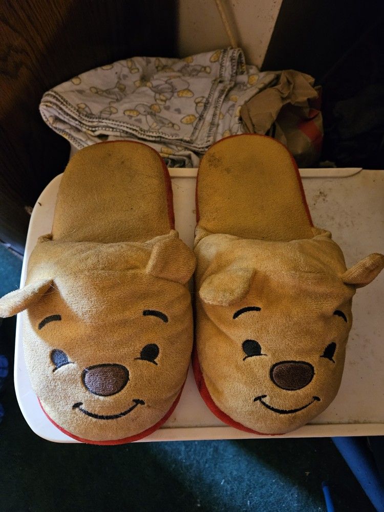 Winnie The Pooh Slipper