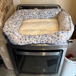 10$ DOG bed Comes From Clean Home 🏠 