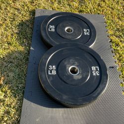 Weights/ Bumper Plates 