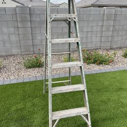 6 Foot Fiberglass Step Ladder