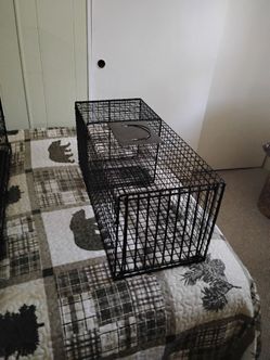 Animal Trap