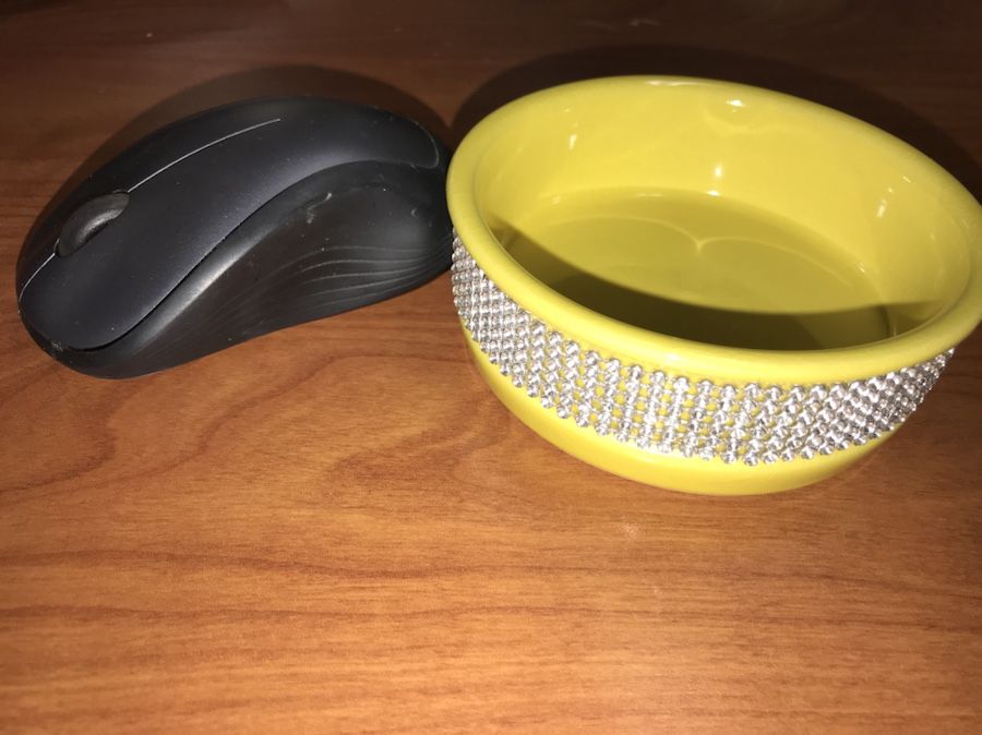 Gibson 4.5 inch Decorative Ceramic Pet Bowls (Pair)