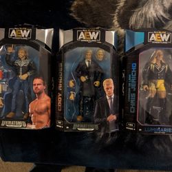 AEW /WWE Wrestling Figures 