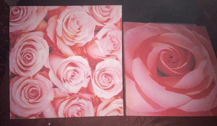 2 —PinkRose Pictures . 2.5 ft. X 2.5 ft. $10 Each