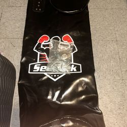 Boxing Bag 