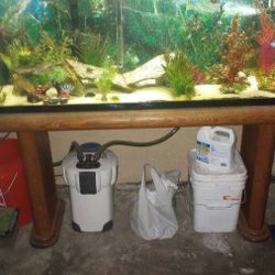 Complete Fish Tank 55 Gallon With Stand