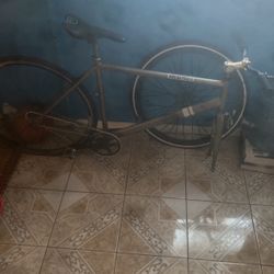 Fixie Bike 