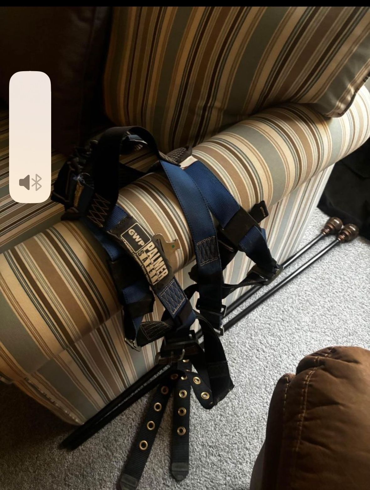 Palmer Safety Harness