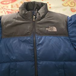 North Face Winter Jacket 