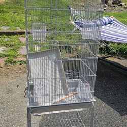 Bird Cage