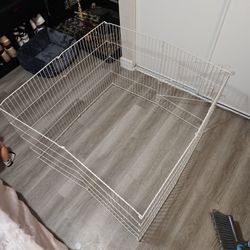 guinea pig cages 