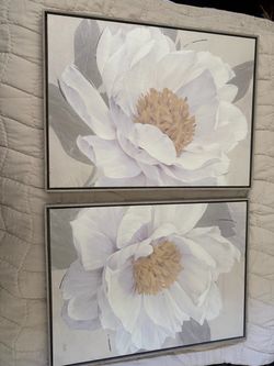 2 wall paintings new