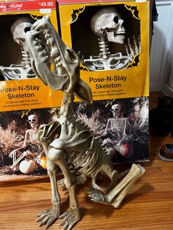 Halloween Skeletons and Dog