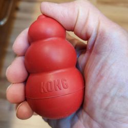 Mini KONG 