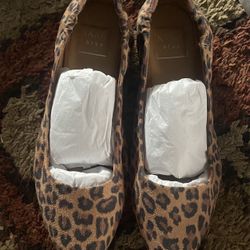 kaari blue flats