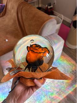 Forever rose orange and black